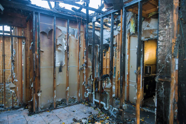 Professional Fire Damage Removal technician working in Goodview, MN